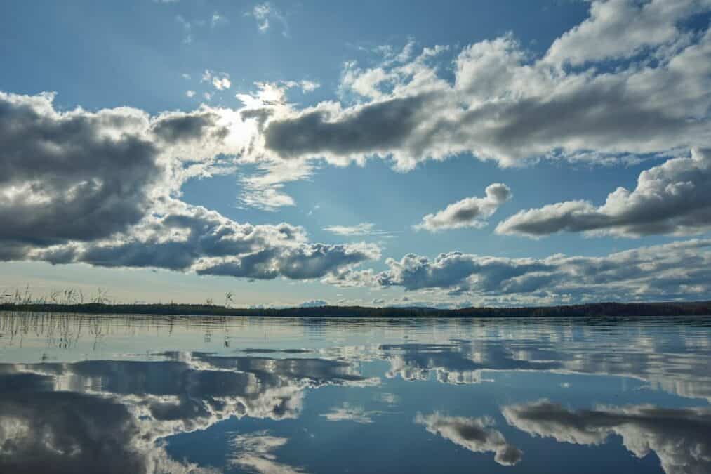 Фото: официальный канал MAX ЦОДД Республики Мордовия