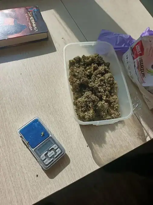 Контейнер с растительным веществом и электронные весы на столе.
