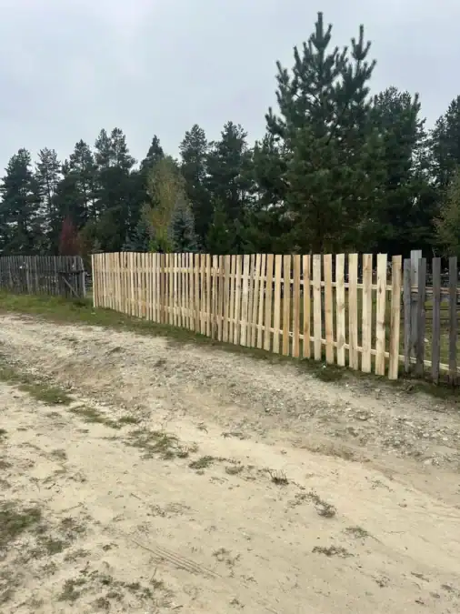 Новый деревянный участок ограждения вдоль грунтовой дороги среди сосен.