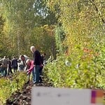 Участники высаживают растения вдоль дорожки в осеннем саду.
