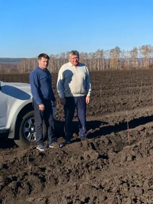 Двое мужчин стоят на вспаханном поле рядом с автомобилем и молодыми саженцами.