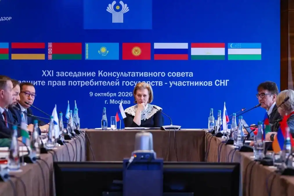 Участники заседания сидят за длинным столом на фоне экрана с символикой СНГ.