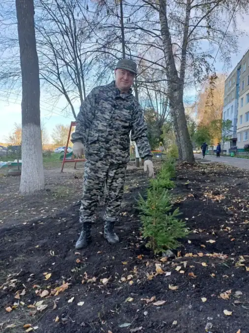 Мужчина в камуфляжной одежде стоит рядом с высаженной молодой елью.