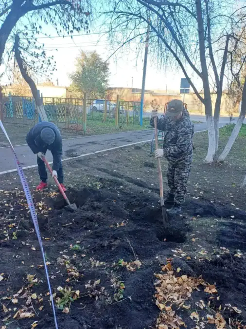 Двое людей копают лунки для посадки деревьев во дворе.