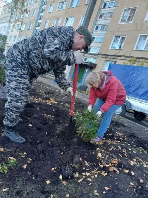 Мужчина и женщина высаживают молодую ель рядом с многоквартирным домом.