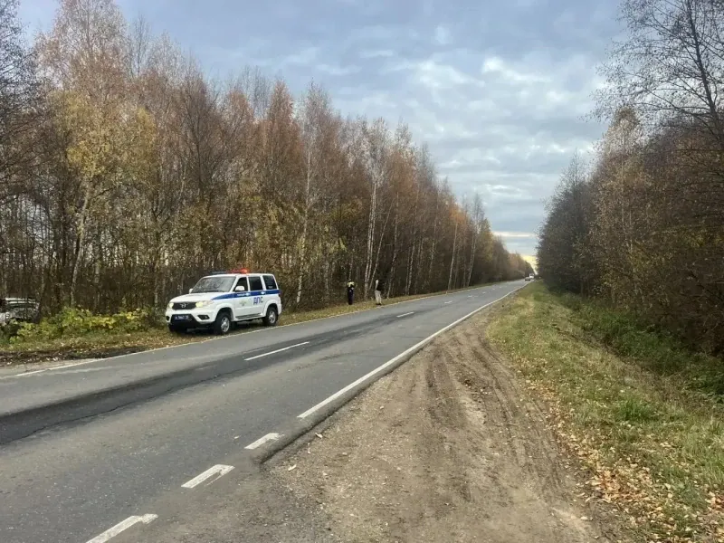 Патрульный автомобиль стоит на обочине загородной дороги среди осеннего леса.