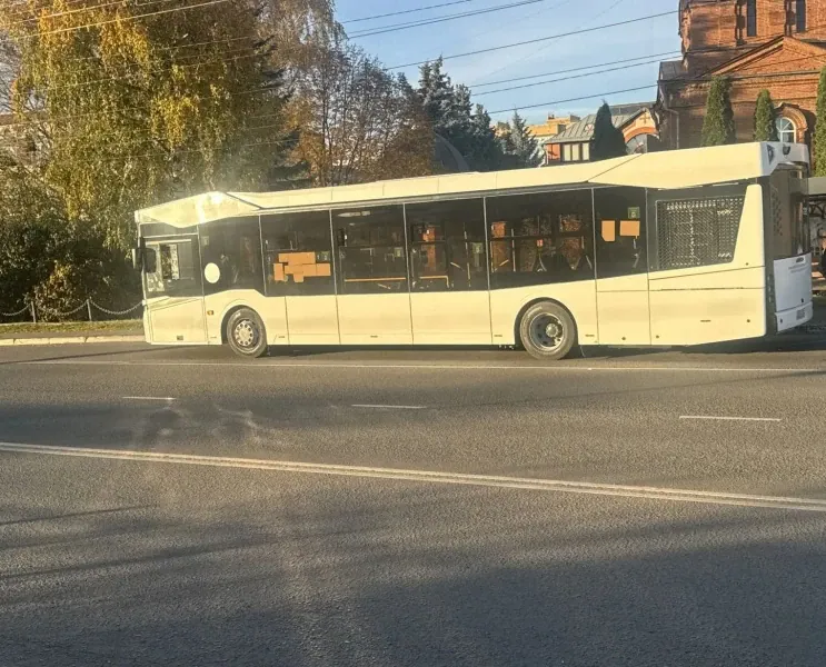 Городской автобус стоит у дороги на фоне деревьев и зданий.