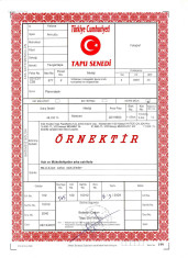 ТАПУ в Турции: что дает, как оформляется и сколько стоит в Турции - фото 1