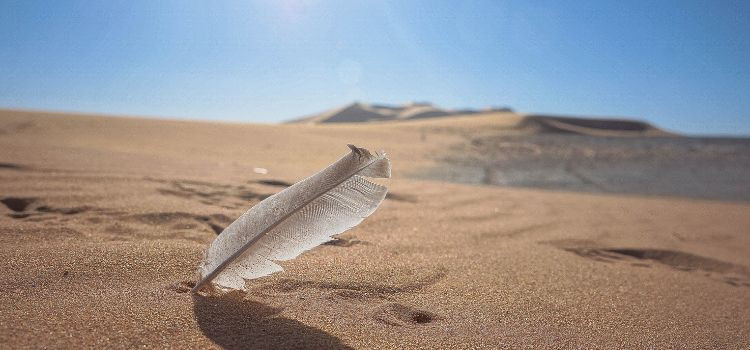 История покупки одной квартиры в Турции - фото 1