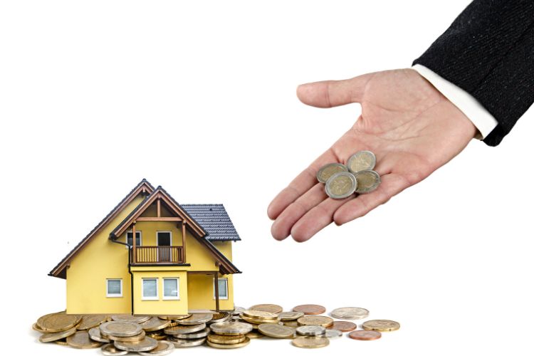 Сколько стоит айдат в Турции