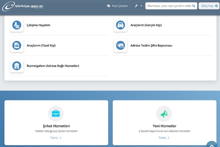 Система e-devlet