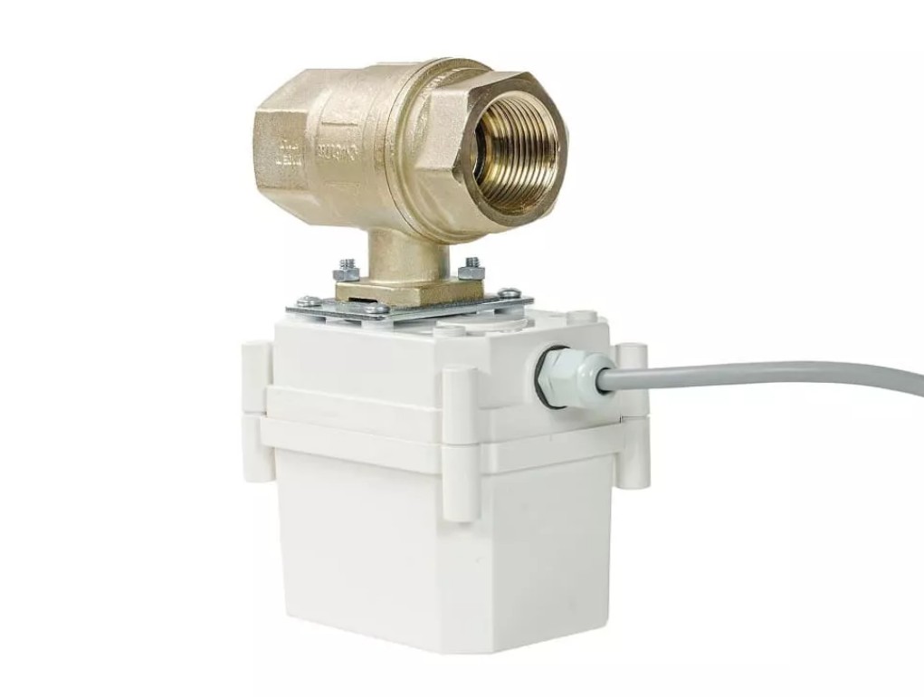 ШЭП  PROFESSIONAL 220V BONOMI ½” Кран с электроприводом