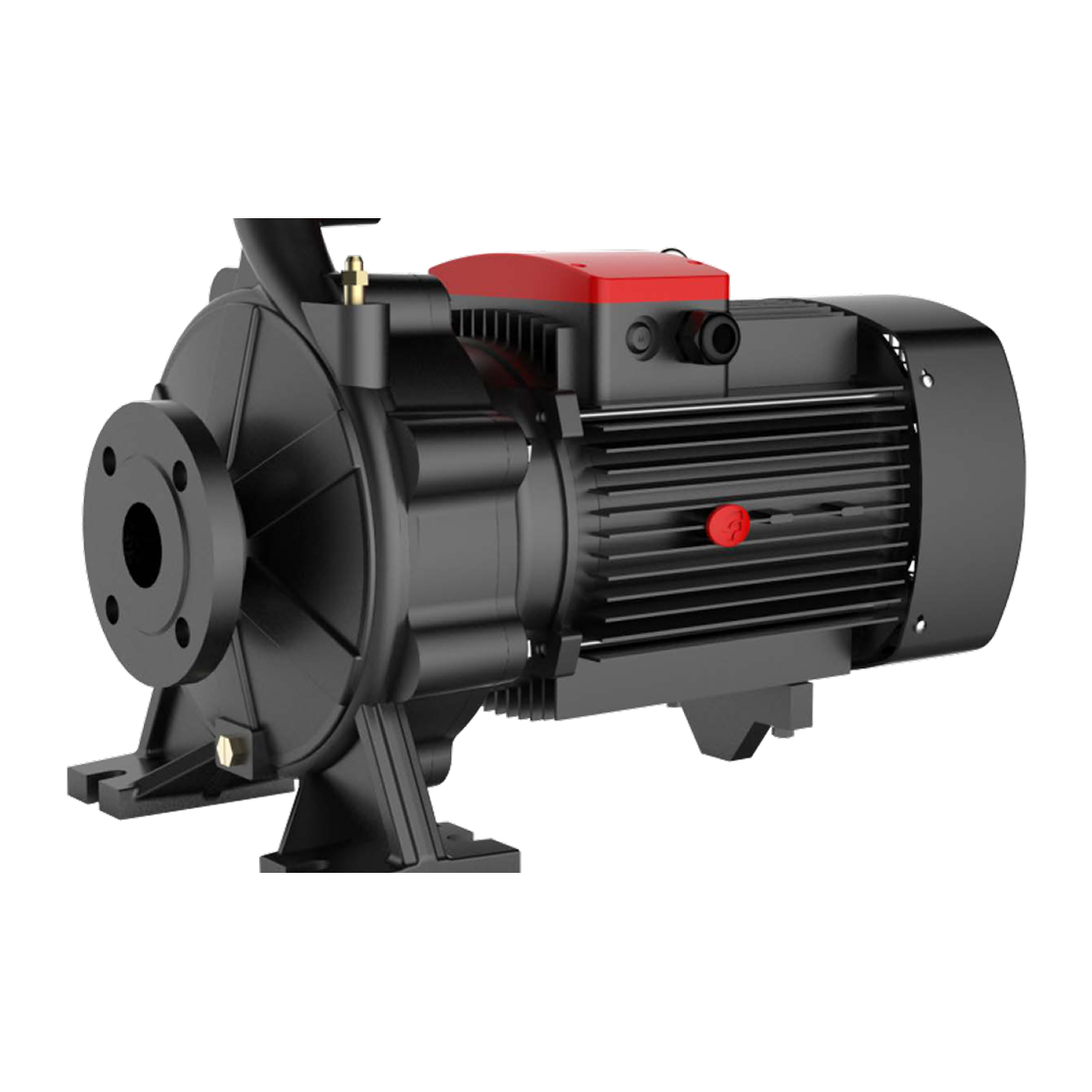 Насос FANCY  FST  50-125/22