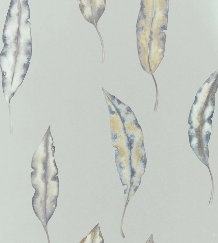 Обои Harlequin Anthozoa 111656