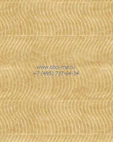 Обои Carl Robinson Edition 4 cb40205
