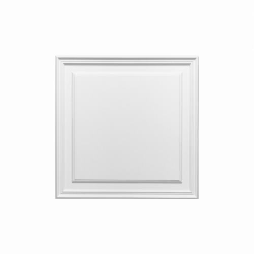 Декоративные элементы Orac Decor D503