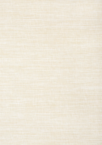 Обои Thibaut Grasscloth Resource 5 T24116