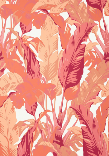 Обои Thibaut Tropics T10130