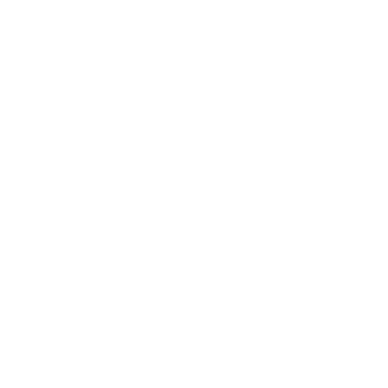 Плинтус SPL8