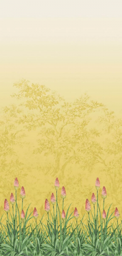 Обои Little Greene National Trust Papers 3 0263UBSOLEI