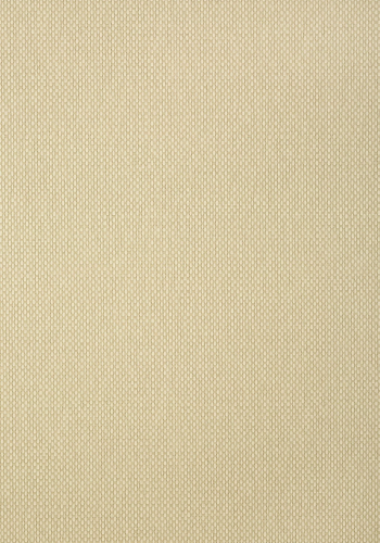 Обои Thibaut Texture Resource 6 T307