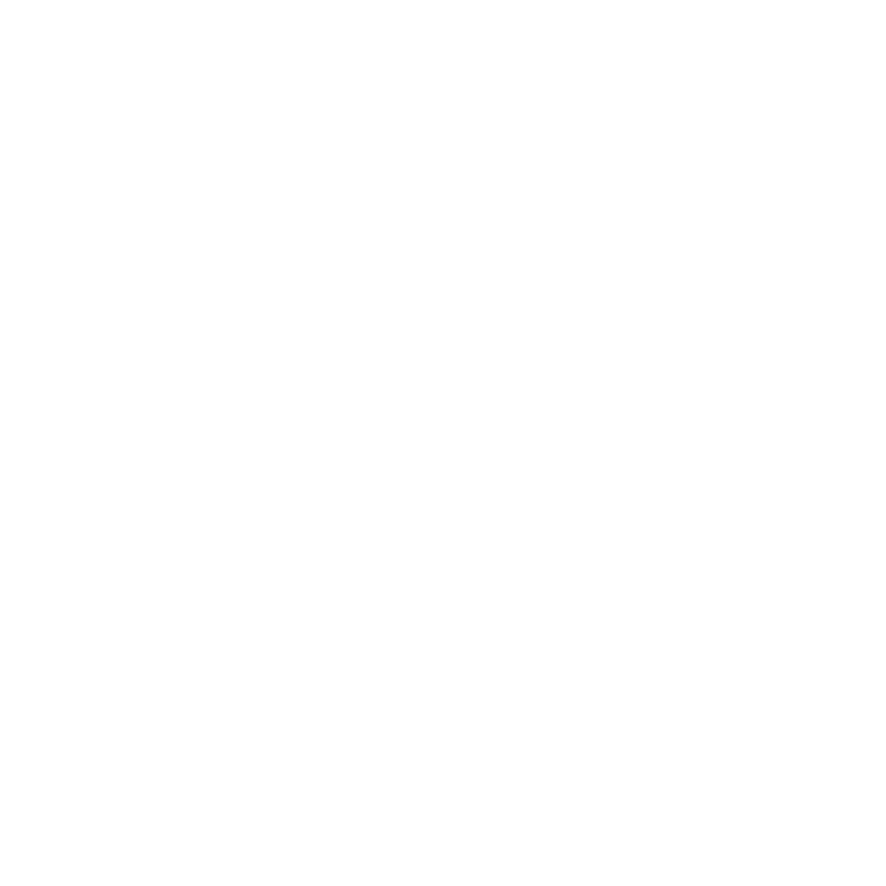 Плинтус SPL5