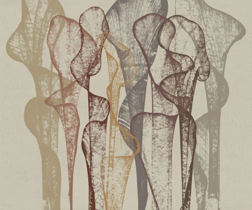 Обои Wall&Deco Contemporary Wallpaper 2021 WDTR2101