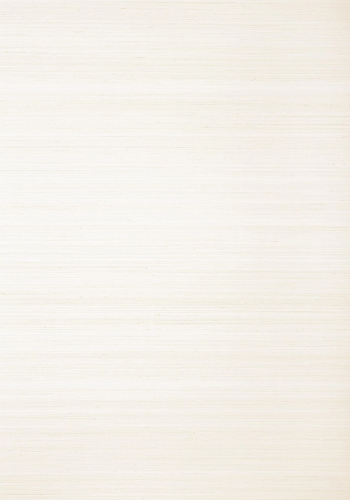 Обои Thibaut Grasscloth Resource 5 T24124