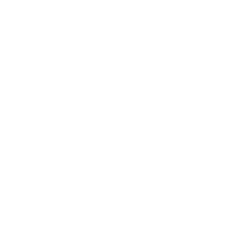 Плинтус SPL11