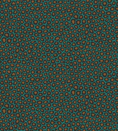 Обои Cole & Son The Ardmore Collection 109-6033