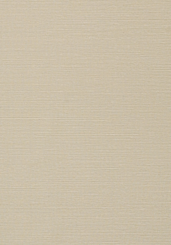 Обои Thibaut Texture Resource 6 T75146
