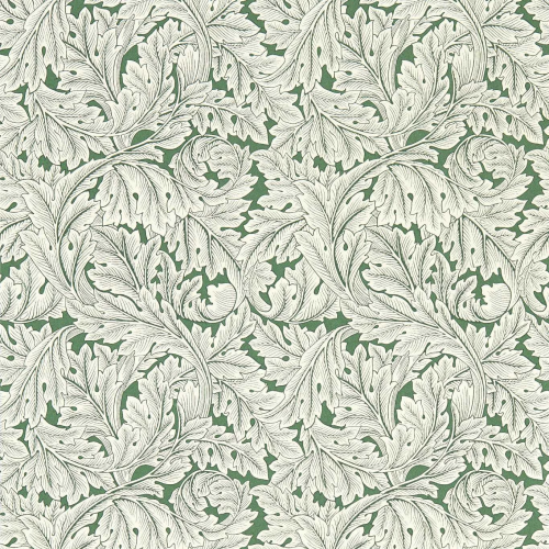 Обои Clarke & Clarke William Morris Designs W0175-01
