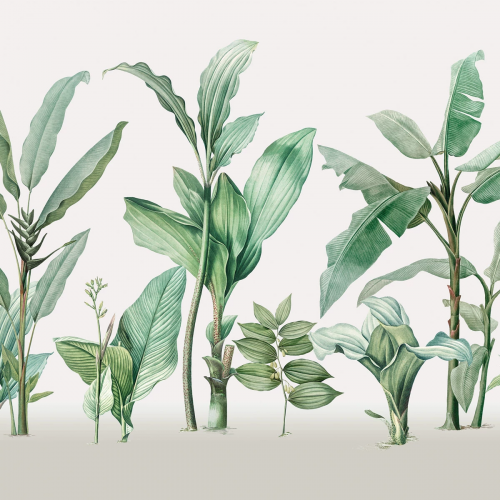 Обои Aura Panorama V111-2-C