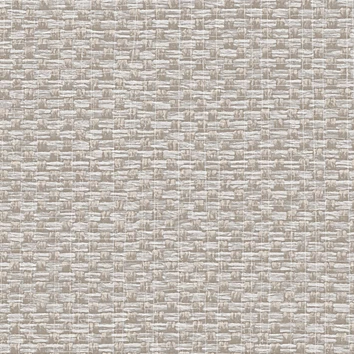 Обои Alessandro Allori Barbara RWA2609-2