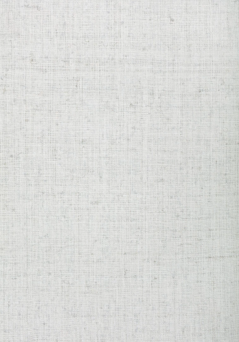 Обои Thibaut Grasscloth Resource IV T72802