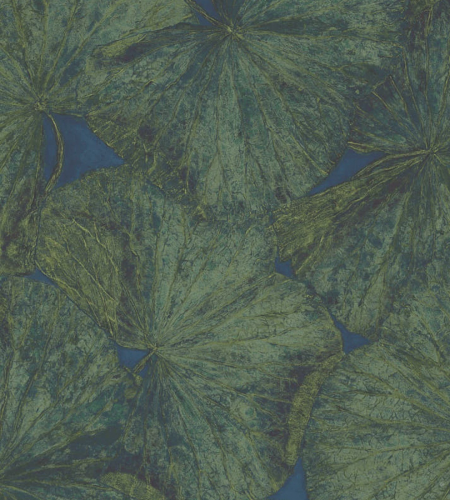 Обои Zoffany Muse 312725