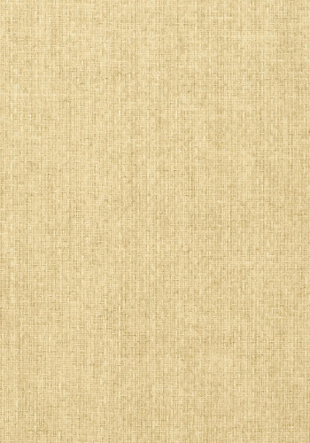 Обои Thibaut Texture Resource V T57108
