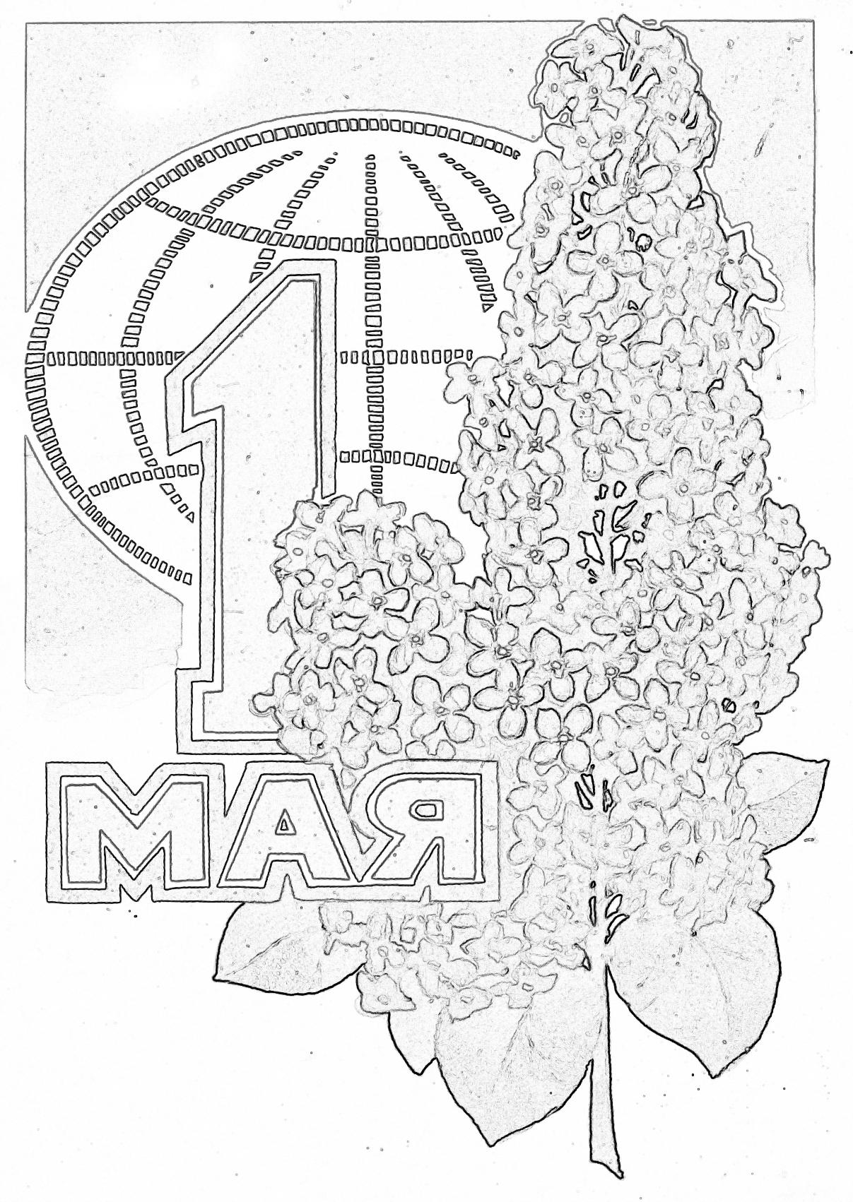 1 мая сирень