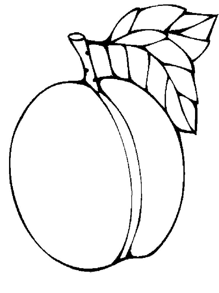 Абрикос