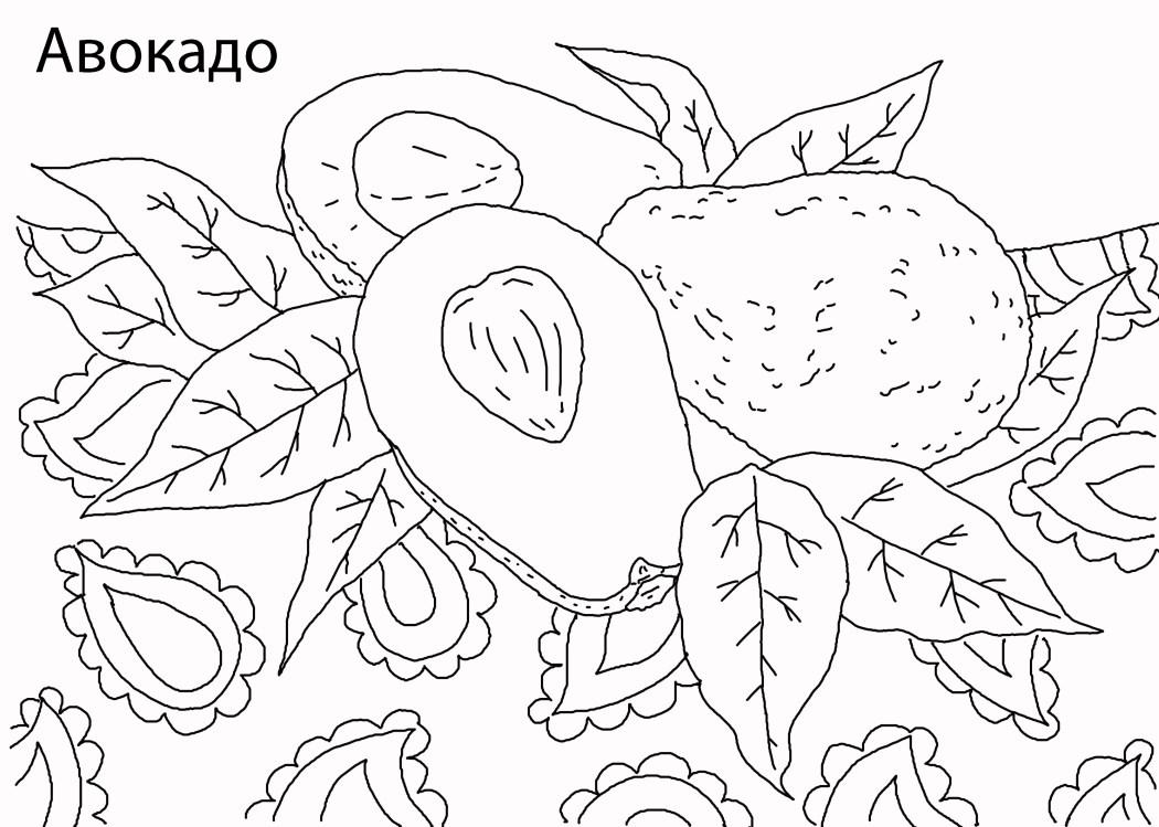 Авокадо