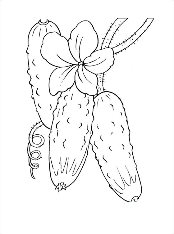 Бабушкина грядка