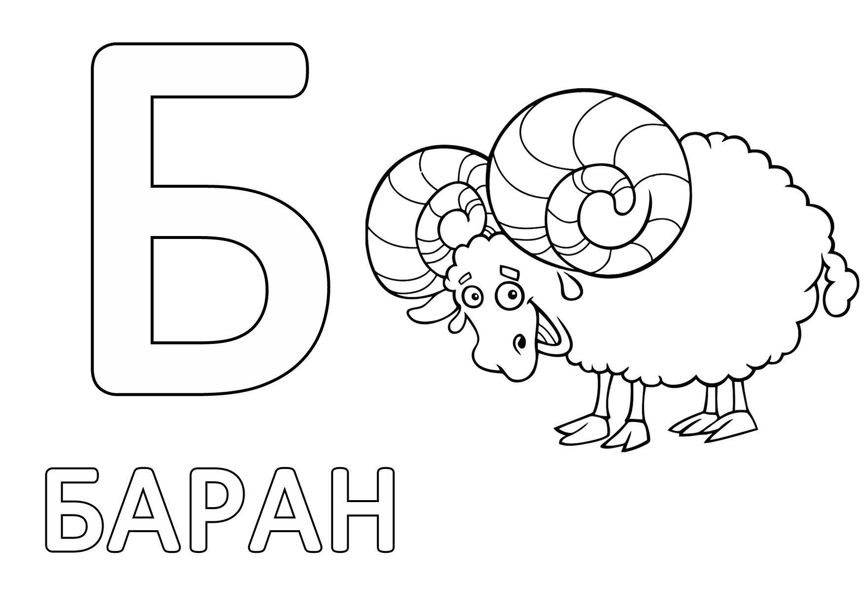 баран