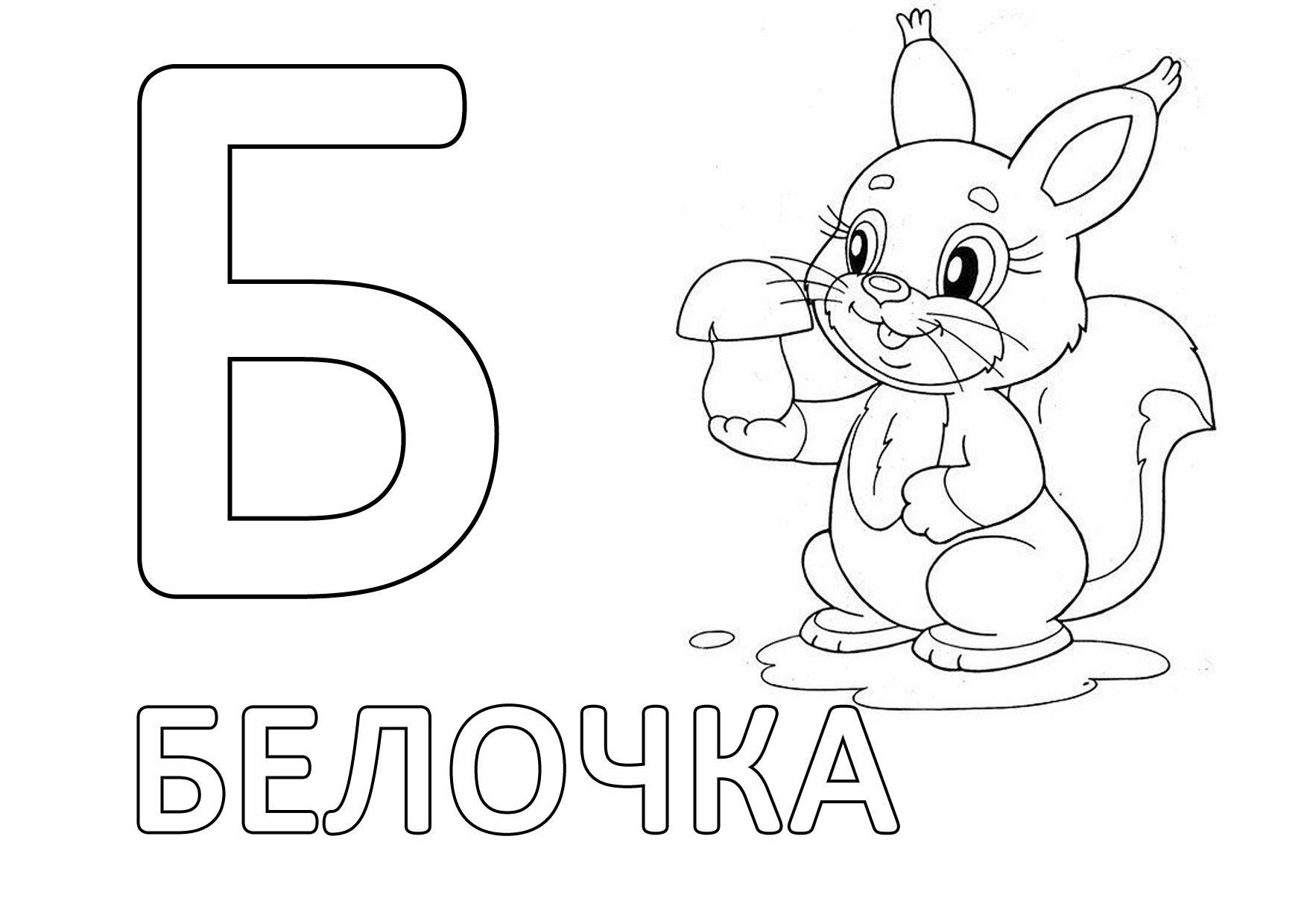 белочка 2