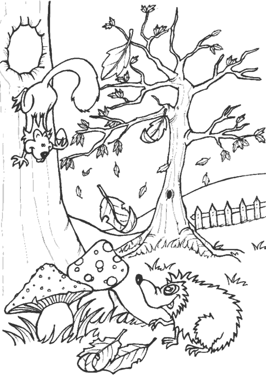 Белочка и ужик