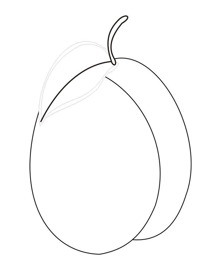 Большая слива