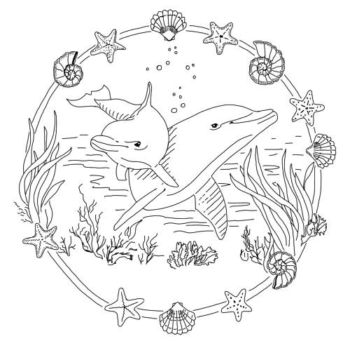 Дельфины в море