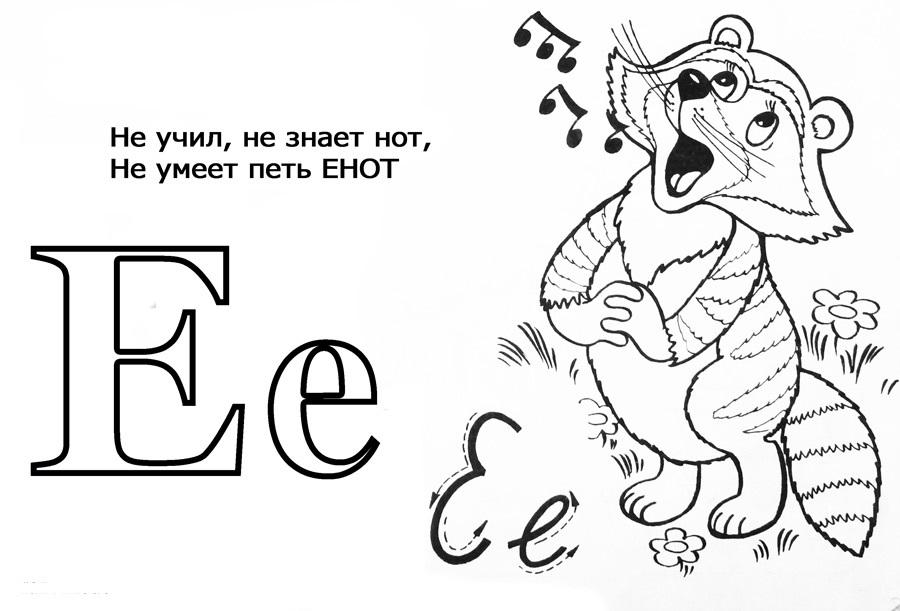 Енот поет