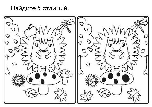 Ежик 2