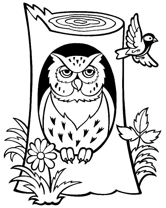 Филин в дупле