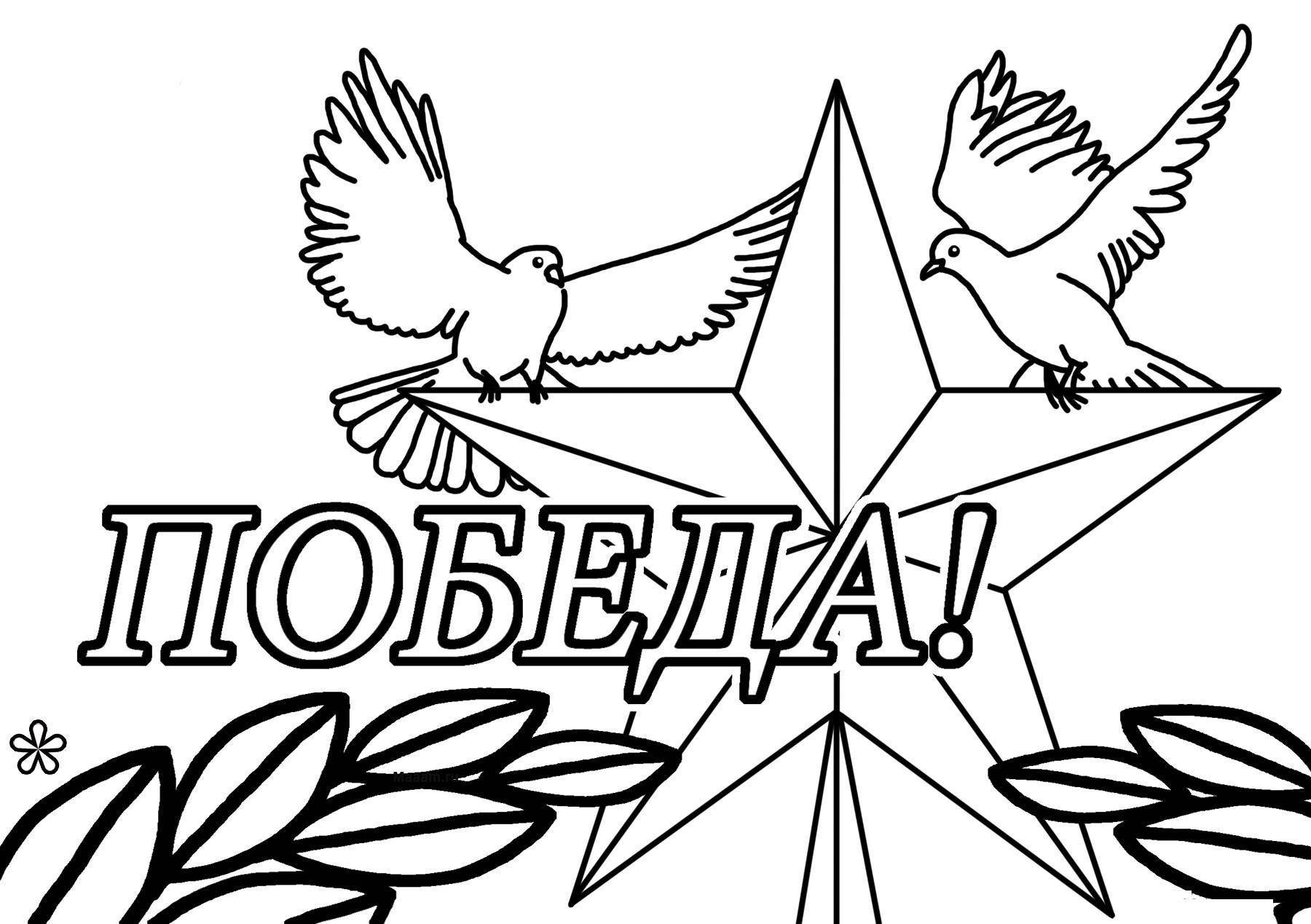 Голуби мира